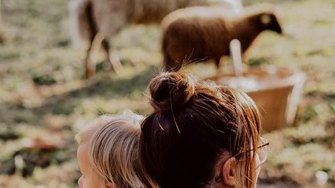 Schaf ganz nah, Workshop für Kinder